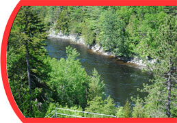 River Driver Whitewater Rafting